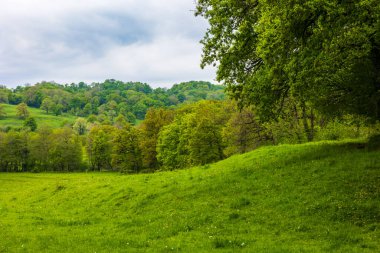 İlkbaharda Cantal 'daki Salins köyünün çevresinde yemyeşil otlaklar
