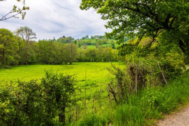 İlkbaharda Cantal 'daki Salins köyünün çevresinde yemyeşil otlaklar