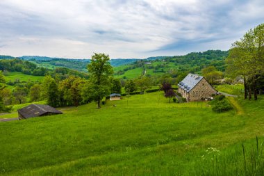 İlkbaharda Cantal 'daki Salins köyünün çevresinde yemyeşil otlaklar