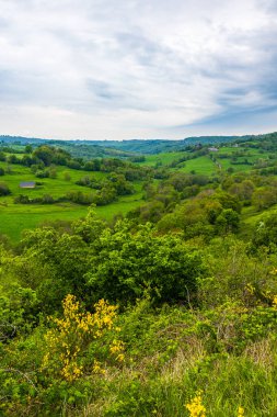 Köyün panoraması ve Cantal 'daki Salins' in çevresindeki yeşil manzaralar.