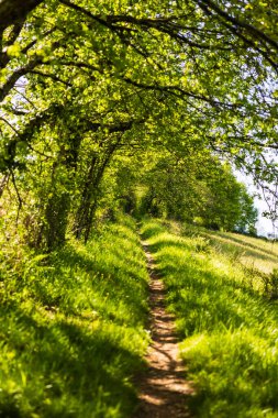 Ambialet köyünün çevresindeki tepelerde bir çit ve bir tarla arasındaki boş patika.