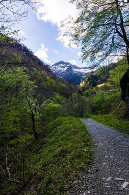 İlkbaharda, Haut-Couserans, Ariege 'deki Ars Şelalesi' ne giden yürüyüş patikasından görülen, kar kaplı Pique Rouge de Bassies Dağı.