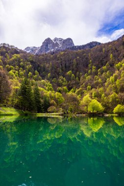 Baharda Bethmale Gölü, yemyeşil bir ormanla çevrili. Gölün yeşil sularına yansıyor.