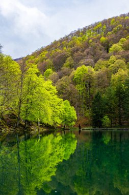 Baharda Bethmale Gölü, yemyeşil bir ormanla çevrili. Gölün yeşil sularına yansıyor.