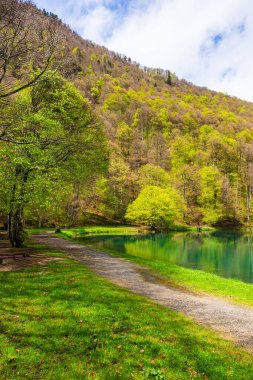Baharda Bethmale Gölü, yemyeşil bir ormanla çevrili. Gölün yeşil sularına yansıyor.