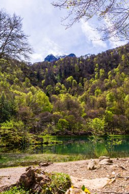 Baharda Bethmale Gölü, yemyeşil bir ormanla çevrili. Gölün yeşil sularına yansıyor.