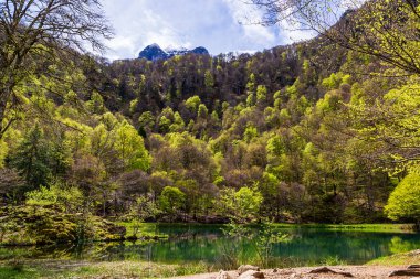 Baharda Bethmale Gölü, yemyeşil bir ormanla çevrili. Gölün yeşil sularına yansıyor.