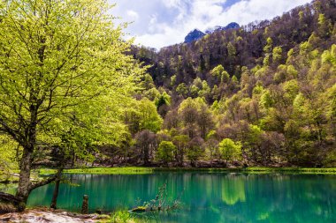 Baharda Bethmale Gölü, yemyeşil bir ormanla çevrili. Gölün yeşil sularına yansıyor.