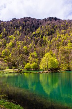 Baharda Bethmale Gölü, yemyeşil bir ormanla çevrili. Gölün yeşil sularına yansıyor.