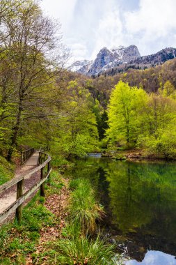Baharda Bethmale Gölü, yemyeşil bir ormanla çevrili. Gölün yeşil sularına yansıyor.