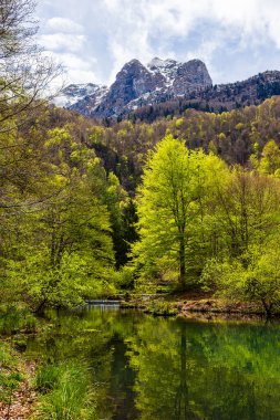 Baharda Bethmale Gölü, yemyeşil bir ormanla çevrili. Gölün yeşil sularına yansıyor.