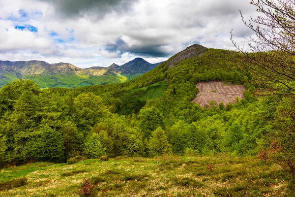 Jordanne Vadisi 'nin çevresindeki Cantal Dağları' nın Panorama 'sı Mandailles-Saint-Julien ormanından geçen bir yürüyüş patikasından.