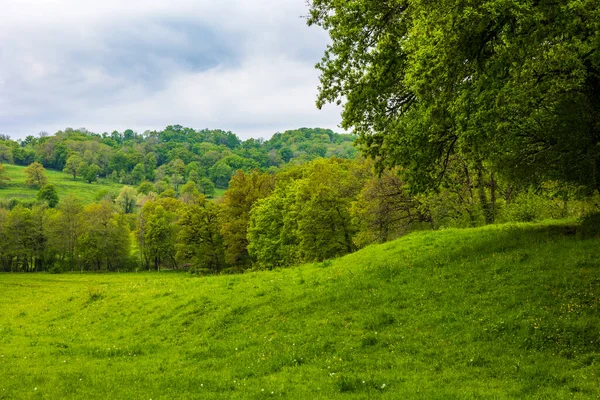 İlkbaharda Cantal 'daki Salins köyünün çevresinde yemyeşil otlaklar