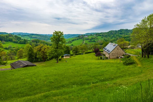 İlkbaharda Cantal 'daki Salins köyünün çevresinde yemyeşil otlaklar