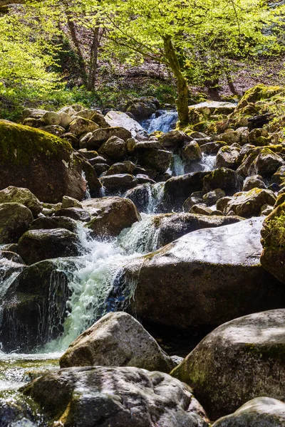 Haut-Couserans, Ariege 'de ilkbaharda kayaların arasından geçen Ars Nehri.