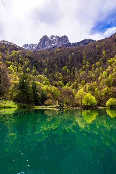 Baharda Bethmale Gölü, yemyeşil bir ormanla çevrili. Gölün yeşil sularına yansıyor.
