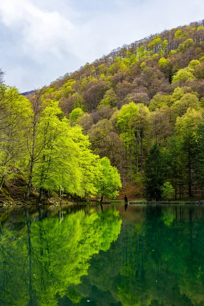 Baharda Bethmale Gölü, yemyeşil bir ormanla çevrili. Gölün yeşil sularına yansıyor.