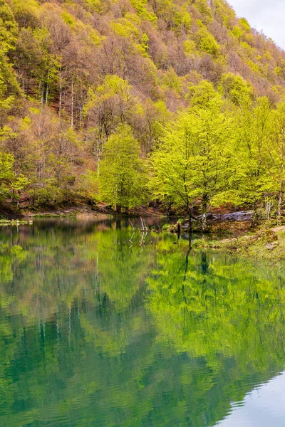Baharda Bethmale Gölü, yemyeşil bir ormanla çevrili. Gölün yeşil sularına yansıyor.
