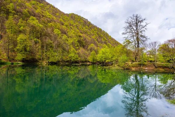 Baharda Bethmale Gölü, yemyeşil bir ormanla çevrili. Gölün yeşil sularına yansıyor.
