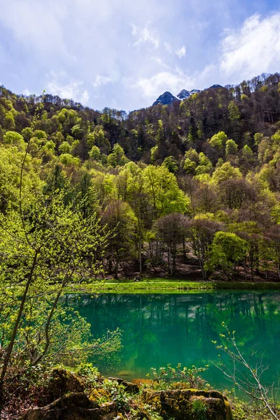 Baharda Bethmale Gölü, yemyeşil bir ormanla çevrili. Gölün yeşil sularına yansıyor.
