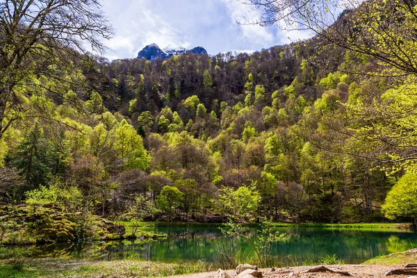 Baharda Bethmale Gölü, yemyeşil bir ormanla çevrili. Gölün yeşil sularına yansıyor.