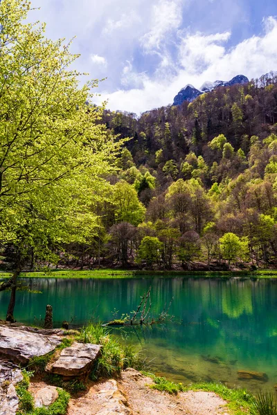 Baharda Bethmale Gölü, yemyeşil bir ormanla çevrili. Gölün yeşil sularına yansıyor.