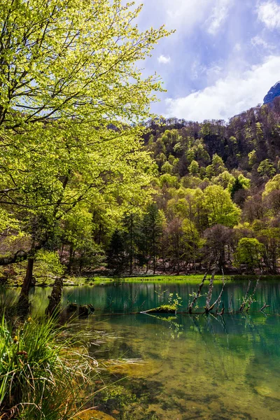 Baharda Bethmale Gölü, yemyeşil bir ormanla çevrili. Gölün yeşil sularına yansıyor.