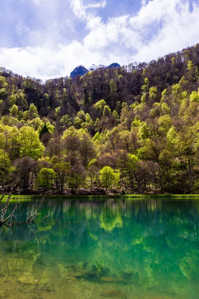 Baharda Bethmale Gölü, yemyeşil bir ormanla çevrili. Gölün yeşil sularına yansıyor.