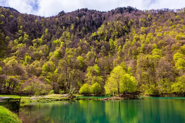 Baharda Bethmale Gölü, yemyeşil bir ormanla çevrili. Gölün yeşil sularına yansıyor.