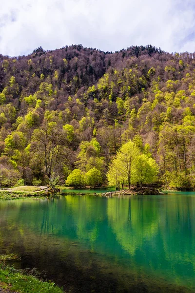 Baharda Bethmale Gölü, yemyeşil bir ormanla çevrili. Gölün yeşil sularına yansıyor.
