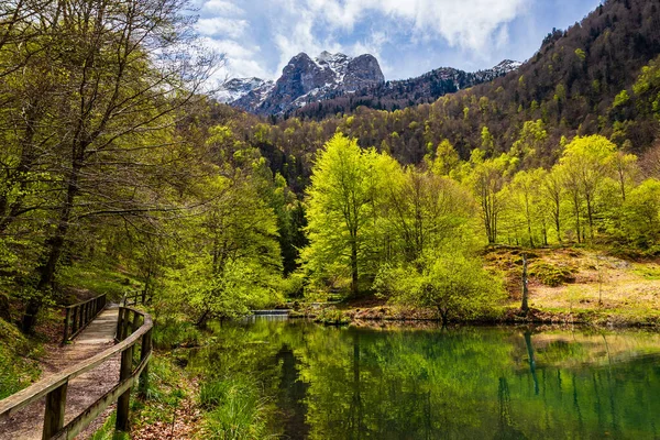 Baharda Bethmale Gölü, yemyeşil bir ormanla çevrili. Gölün yeşil sularına yansıyor.