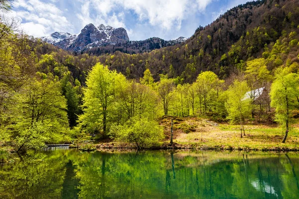 Baharda Bethmale Gölü, yemyeşil bir ormanla çevrili. Gölün yeşil sularına yansıyor.