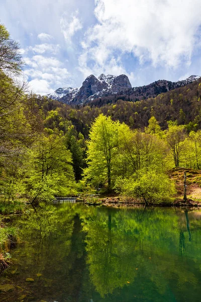 Baharda Bethmale Gölü, yemyeşil bir ormanla çevrili. Gölün yeşil sularına yansıyor.