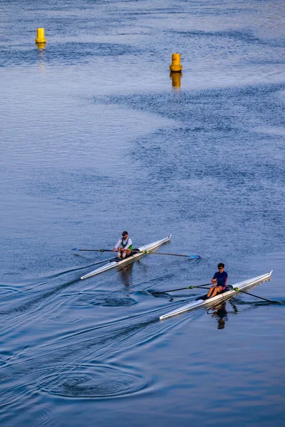 İki kürekçi Toulouse 'daki Garonne' da kürek çekiyorlar.