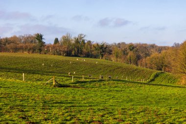 Le Beny-Bocage 'den Normandiya Bocage ve Souleuvre Vadisi' nin kış manzarası