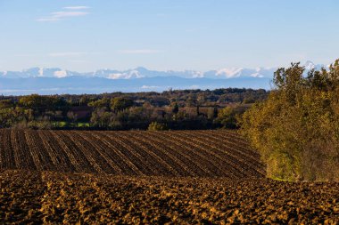 Karla kaplı Pireneler Saint-Felix-Lauragais 'in yeni sürülmüş tarlalarından görüldü.