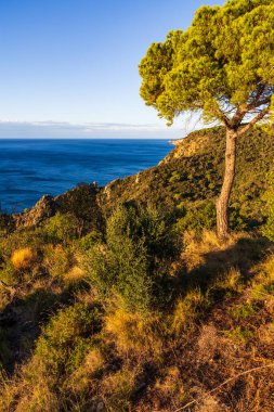 Tossa de Mar 'ın etrafındaki kayalık kayalıklar