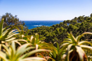 Akdeniz manzaralı Kaptan Roig Botanik Bahçesi