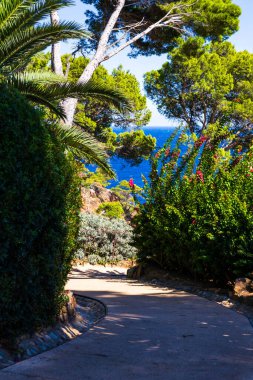 Akdeniz manzaralı Kaptan Roig Botanik Bahçesi