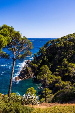 Akdeniz manzaralı Kaptan Roig Botanik Bahçesi