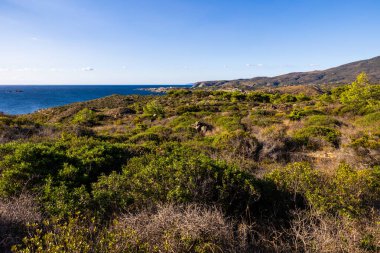 Kadavralarda Cap de Creus 'un yürüyüş patikalarından Portlligat Körfezi ve Pointe des Caials