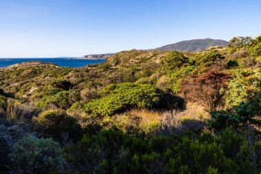 Kadavralara tepeden bakan El Pen Zirvesi, Cap de Creus 'un yürüyüş patikalarından
