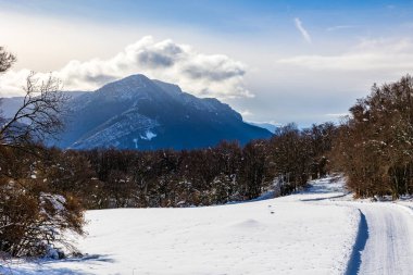 Vercors 'taki Chalimont Sırtı kışın karla kaplıydı. Rencurel' daki Coulmes Nordic kayak bölgesinden görüldü.
