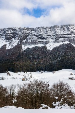 Orta Vercors yüksek kireçtaşı uçurumları kışın karla kaplı, Coulmes İskandinav kayak alanından görünüyor.