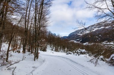 Vercors 'taki Rencurel Vadisi kışın karla kaplıydı. Coulmes İskandinav kayak bölgesinden görüldü.