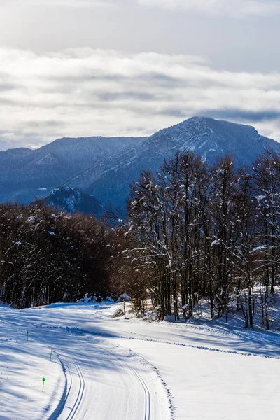 Vercors 'taki Chalimont Sırtı kışın karla kaplıydı. Rencurel' daki Coulmes Nordic kayak bölgesinden görüldü.