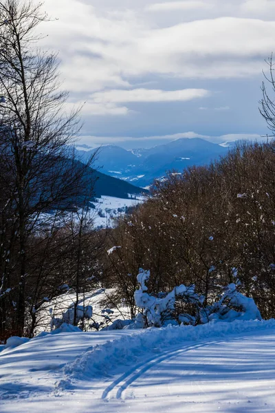 Vercors 'taki Rencurel Vadisi kışın karla kaplıydı. Coulmes İskandinav kayak bölgesinden görüldü.