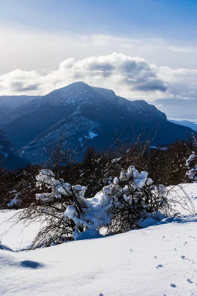 Vercors 'taki Chalimont Sırtı kışın karla kaplıydı. Rencurel' daki Coulmes Nordic kayak bölgesinden görüldü.