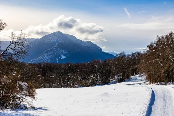 Vercors 'taki Chalimont Sırtı kışın karla kaplıydı. Rencurel' daki Coulmes Nordic kayak bölgesinden görüldü.