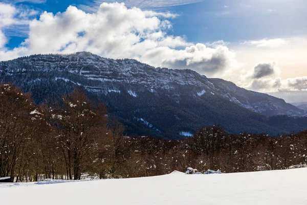 Orta Vercors yüksek kireçtaşı uçurumları kışın karla kaplı, Coulmes İskandinav kayak alanından görünüyor.